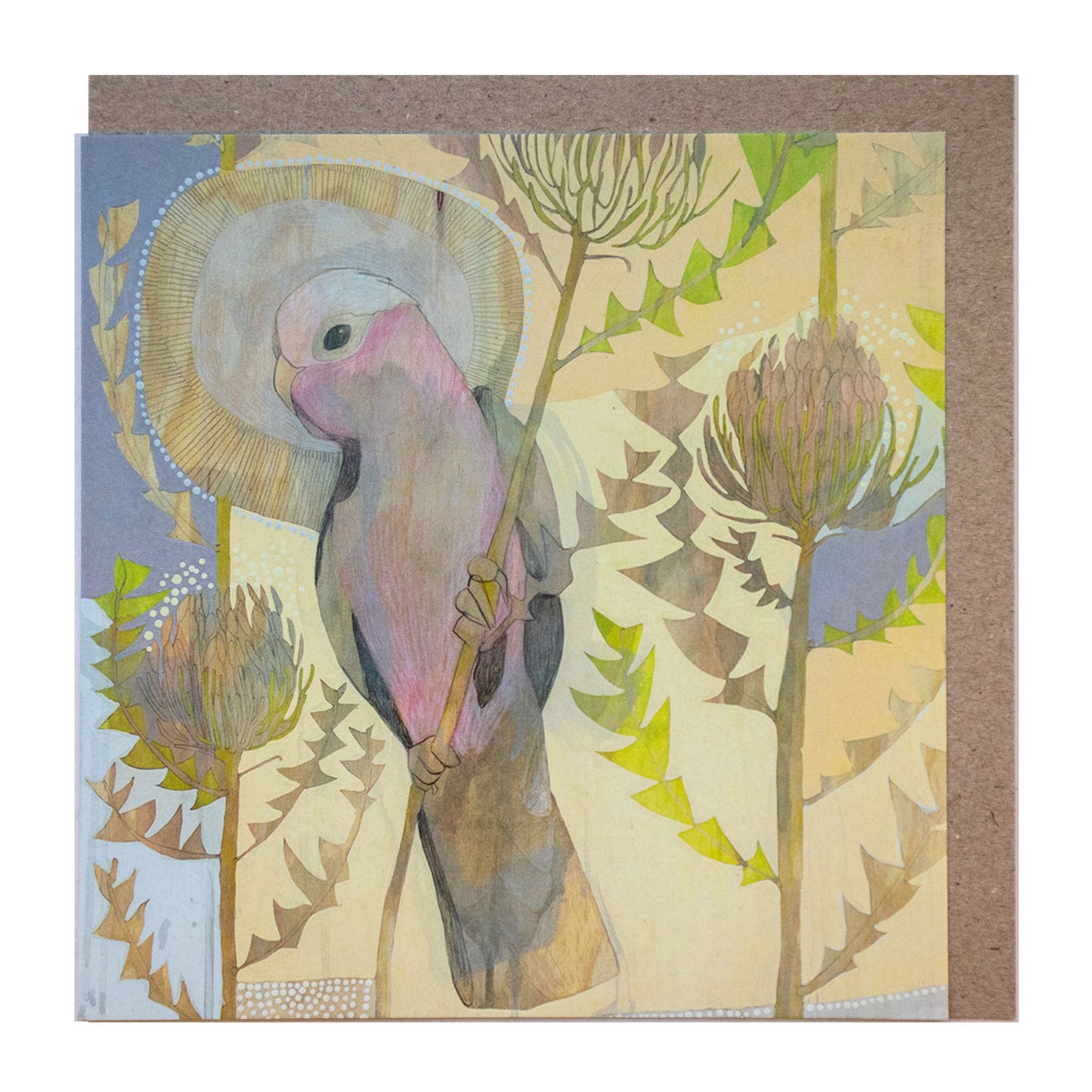 summer, galah and banksia baxteri - card