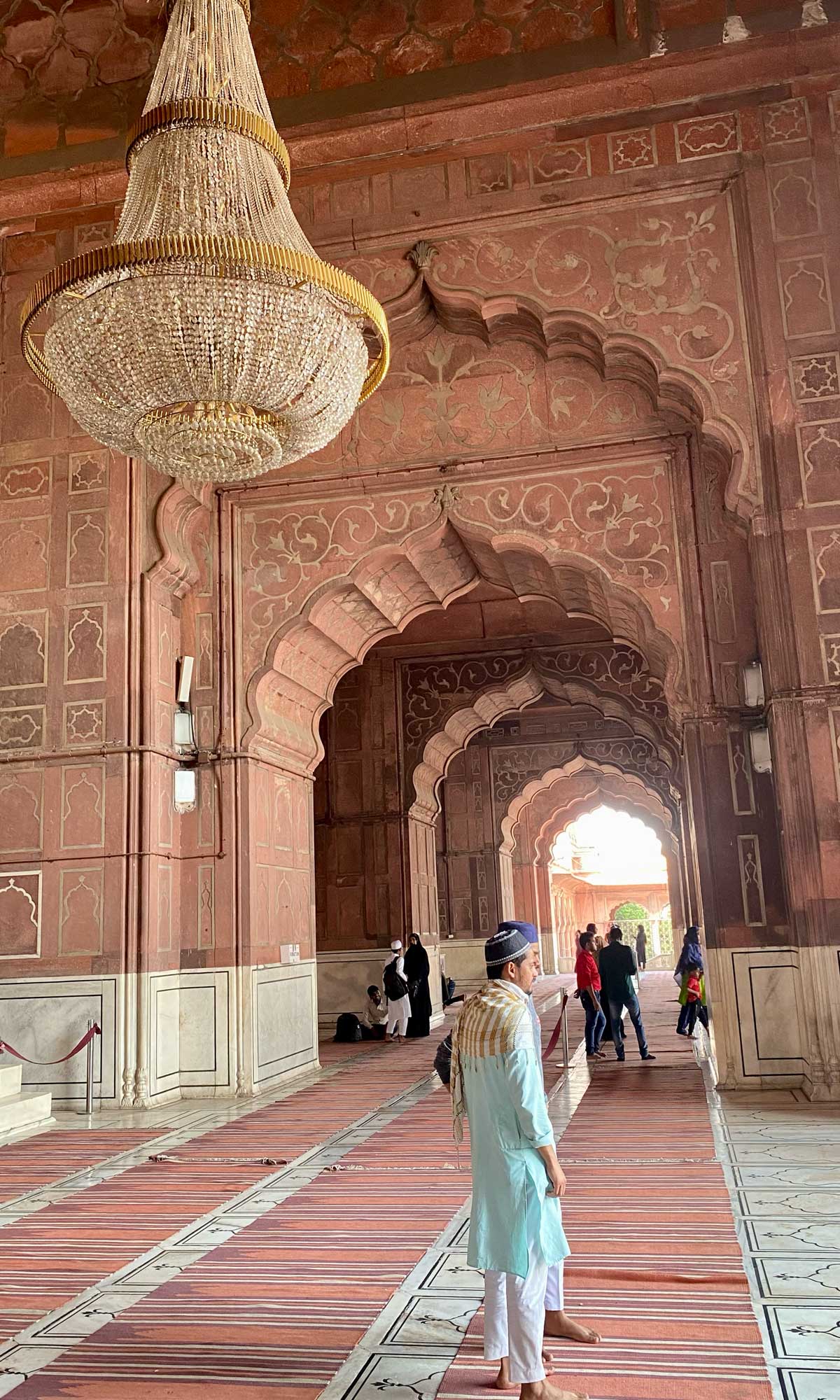 🪷 join me in north INDIA with holi 4-16 march 2025🪷