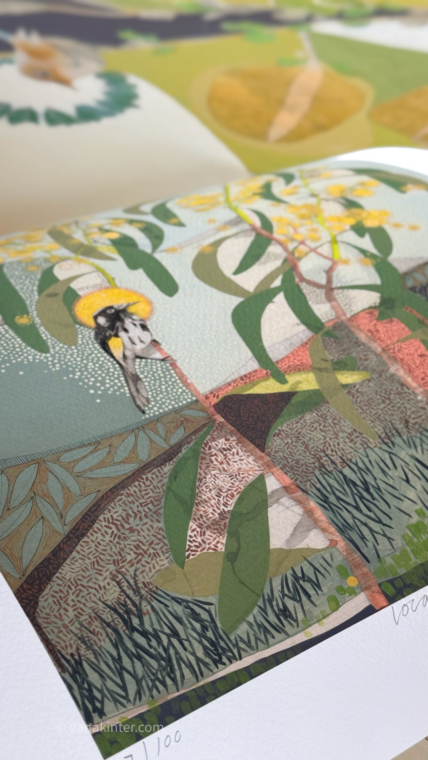 Locations of Memory, New Holland Honeyeater and Wattle - Edition Print