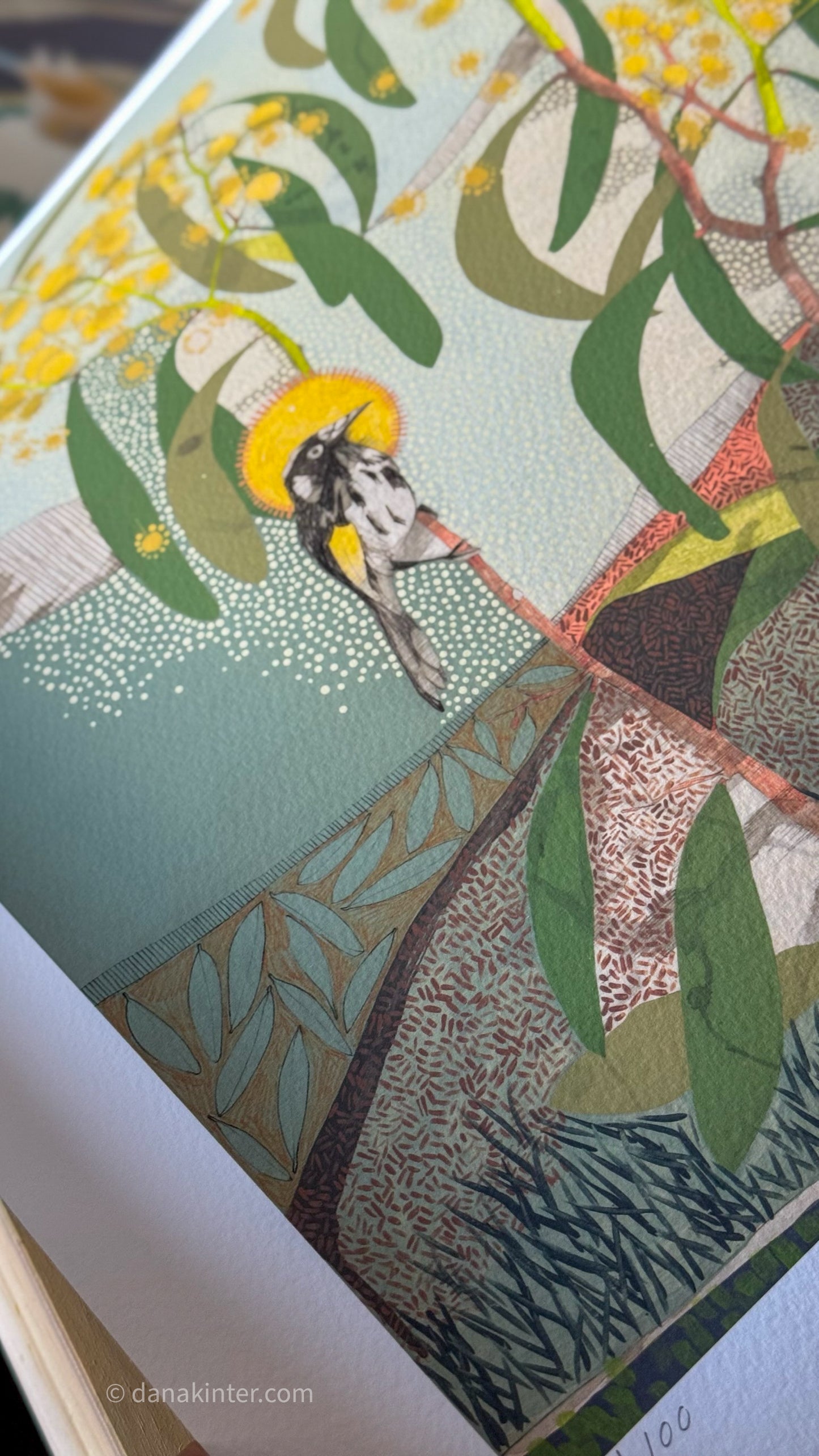 Locations of Memory, New Holland Honeyeater and Wattle - Edition Print