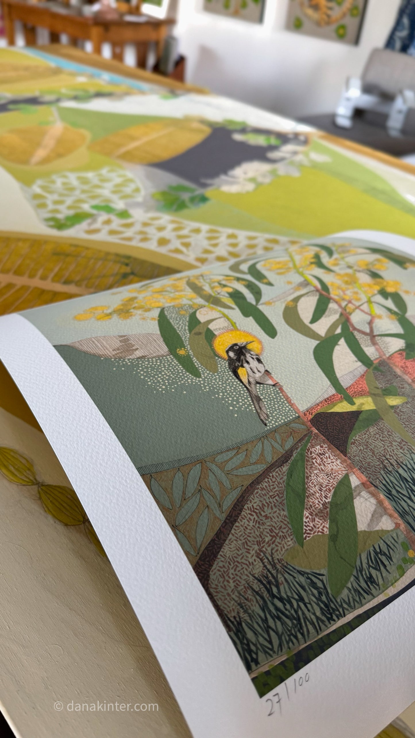 Locations of Memory, New Holland Honeyeater and Wattle - Edition Print