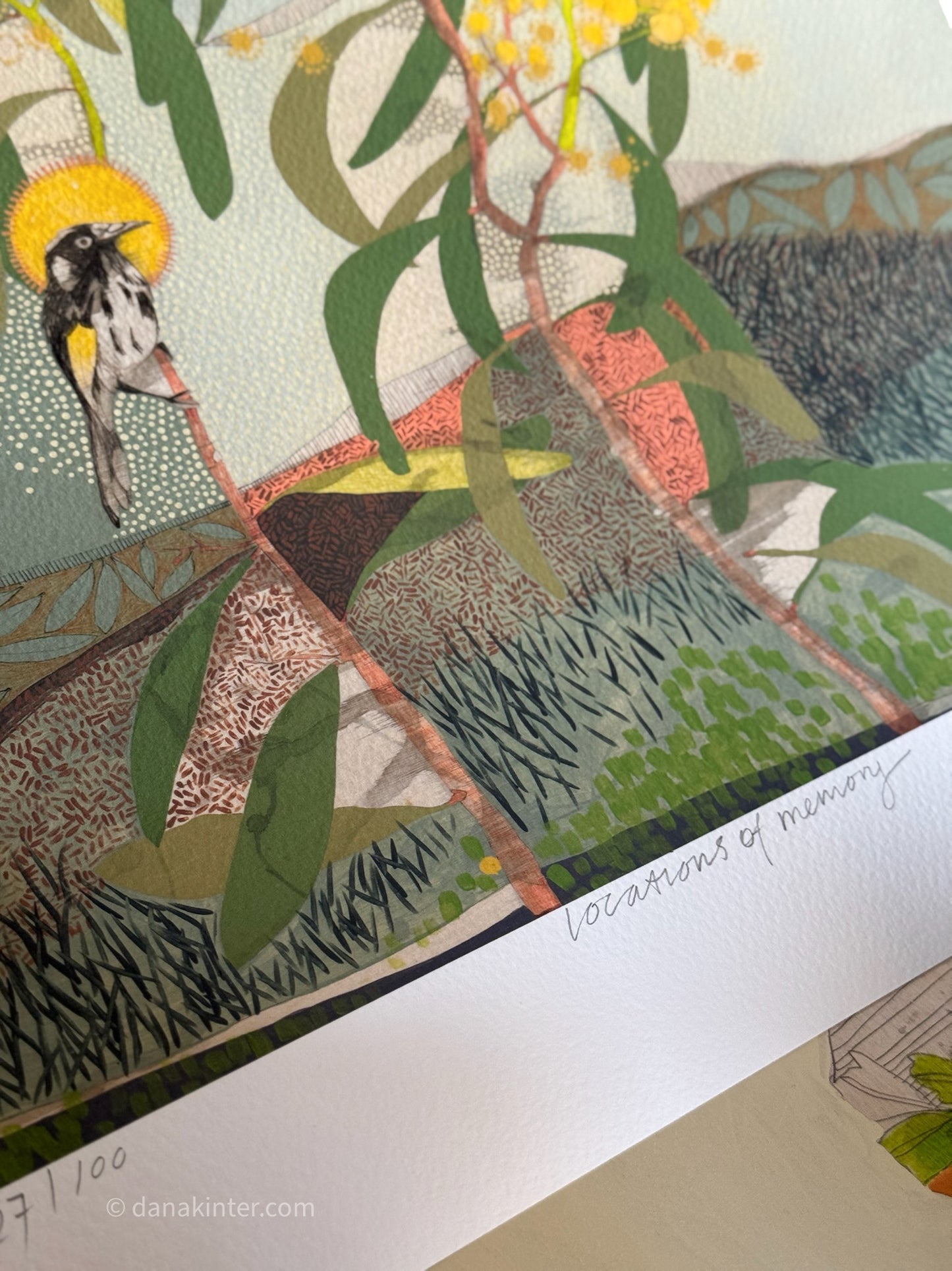 Locations of Memory, New Holland Honeyeater and Wattle - Edition Print