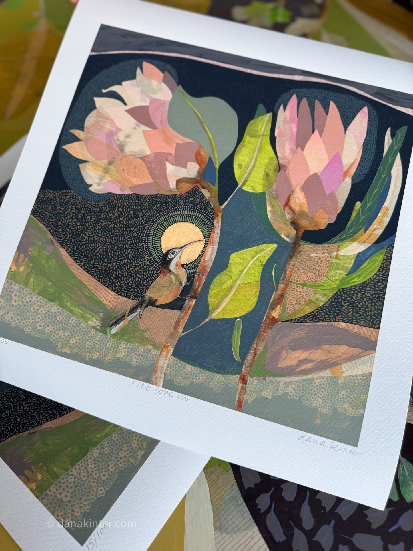 I Let Love In, Eastern Spinebill and Proteas - Edition Print