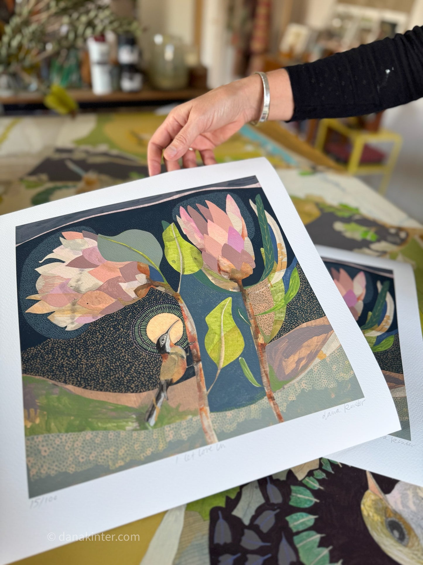 I Let Love In, Eastern Spinebill and Proteas - Edition Print