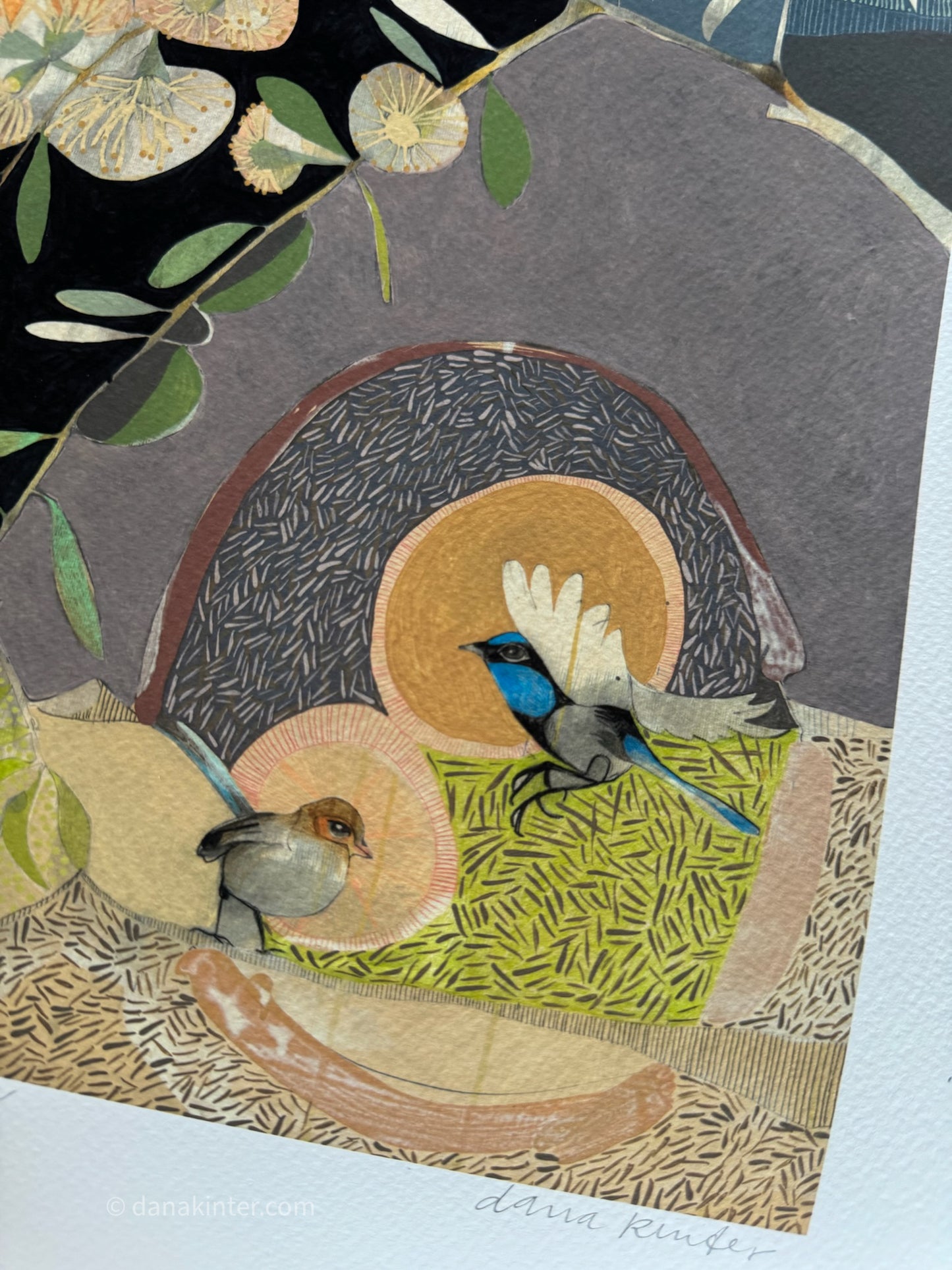Gentle Growth, Blue Wren and Eucalyptus - Edition Print