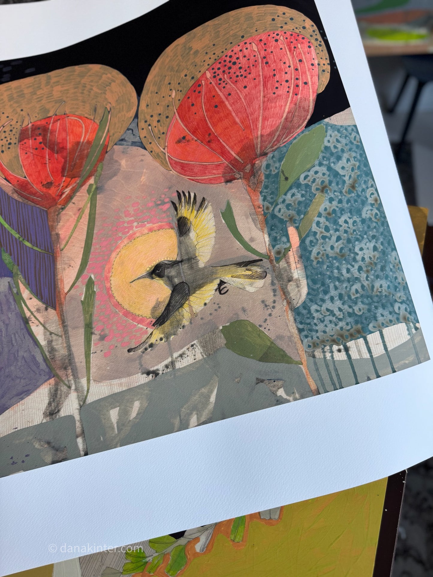 The Fluttering of Birds, New Holland Honeyeater and Pincushion - Edition Print