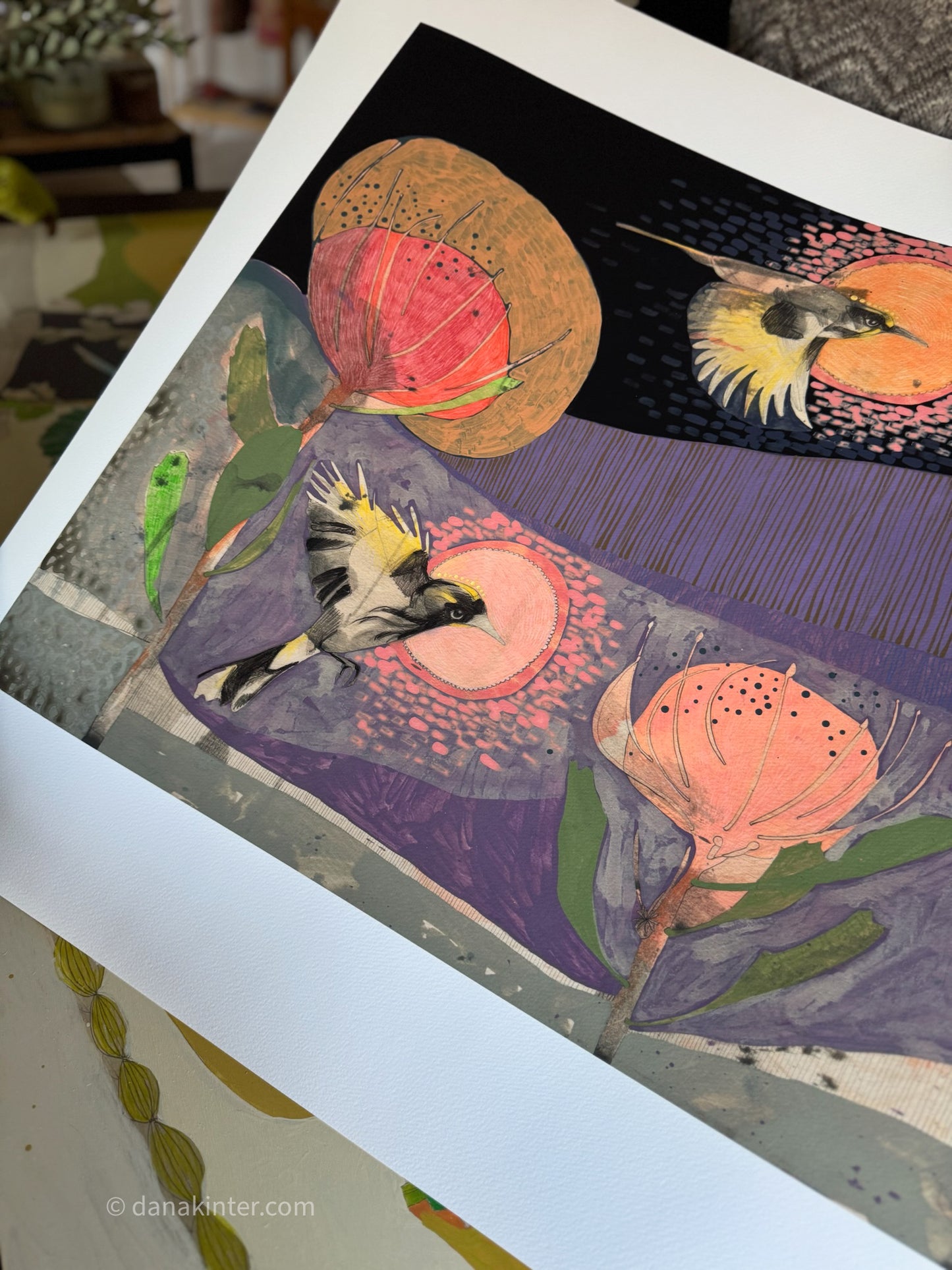 The Fluttering of Birds, New Holland Honeyeater and Pincushion - Edition Print