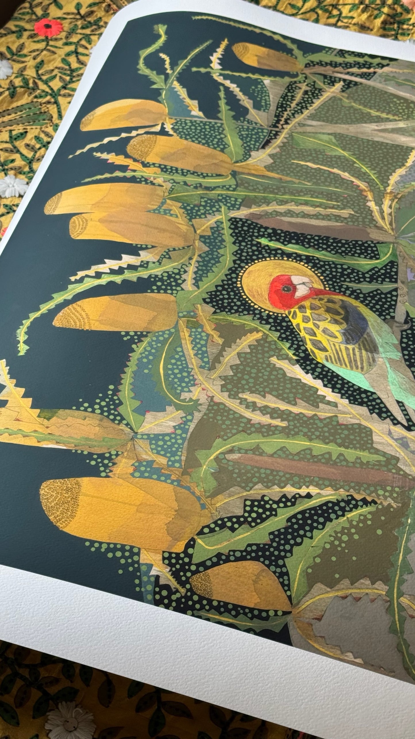 Drifting Away Down Palmer Street, Eastern Rosella and Orange Banksia - Edition Print