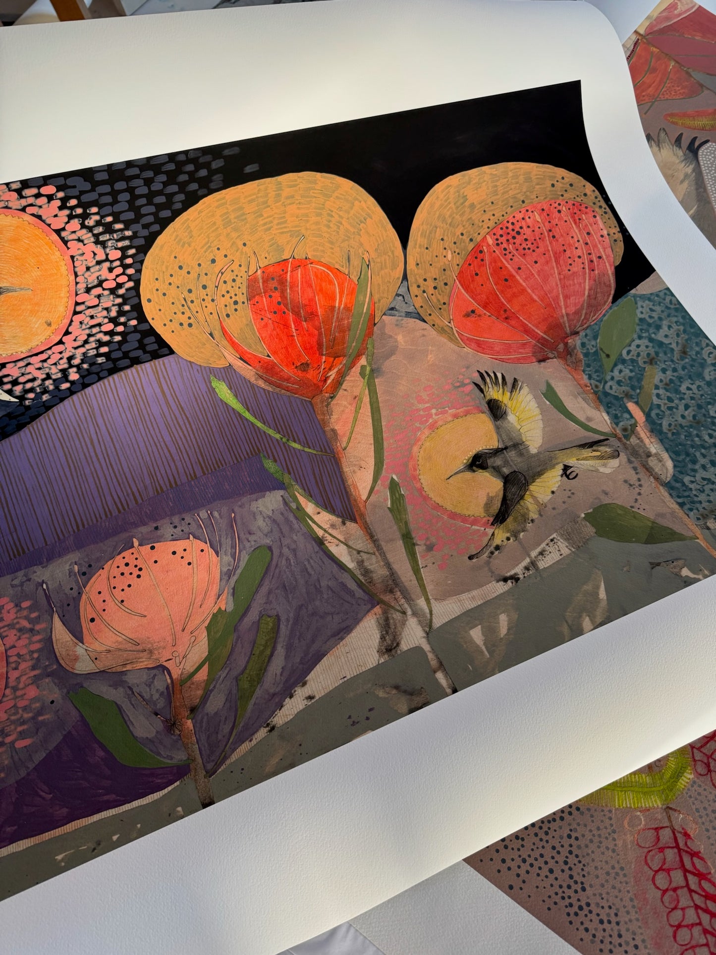 The Fluttering of Birds, New Holland Honeyeater and Pincushion - Edition Print