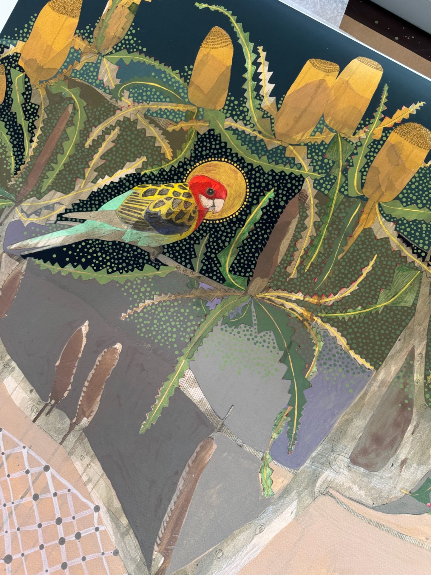 Drifting Away Down Palmer Street, Eastern Rosella and Orange Banksia - Edition Print