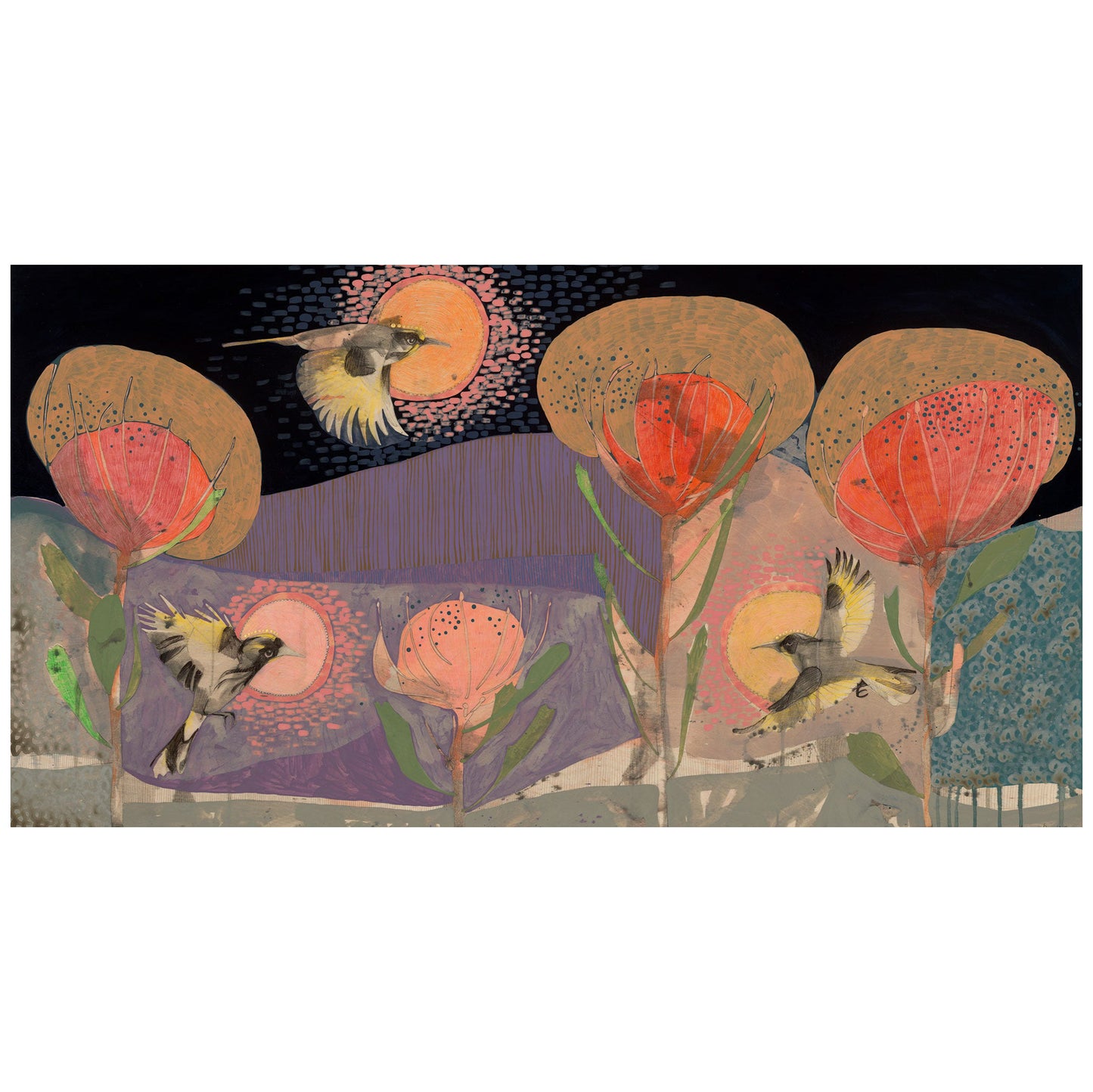 The Fluttering of Birds, New Holland Honeyeater and Pincushion - Edition Print