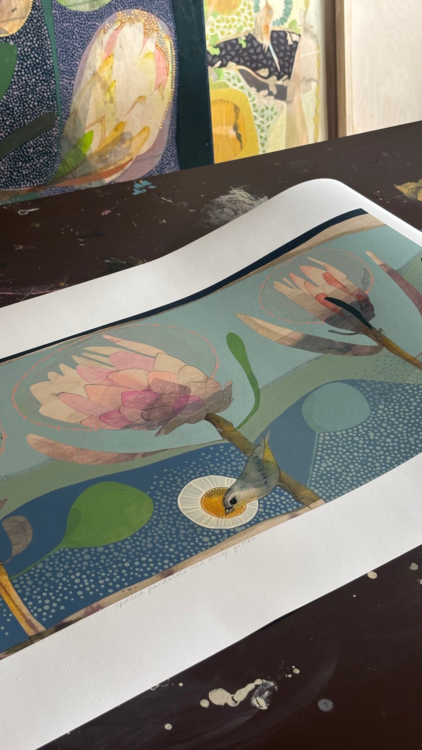 Spotted Pardalote and King Protea - Edition Print
