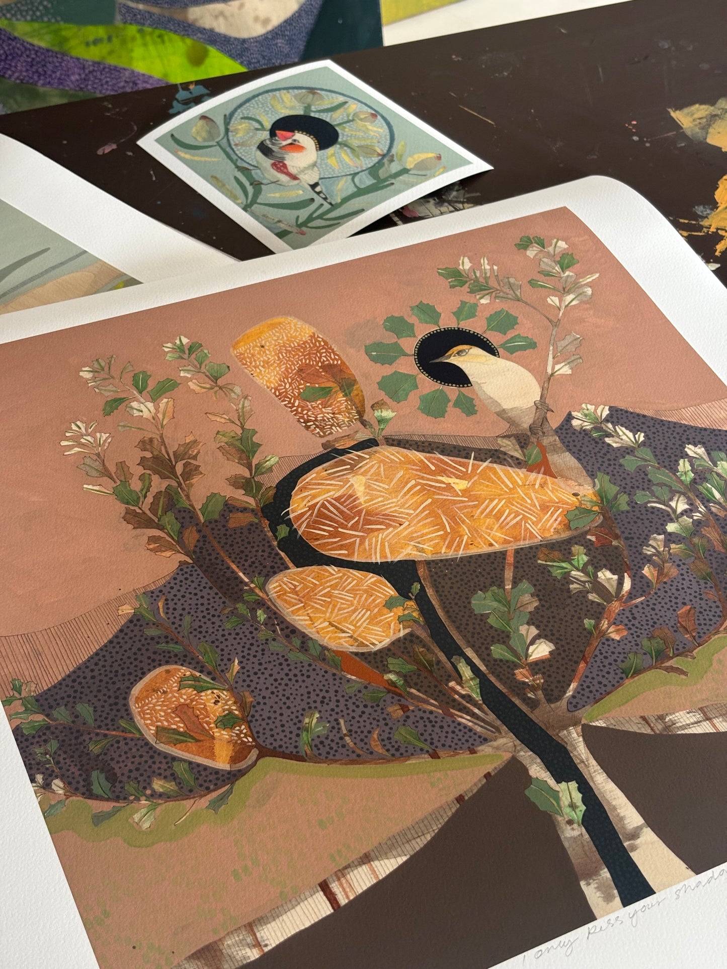 I Only Kiss Your Shadow, Singing Honeyeater and Banksia - Edition Print