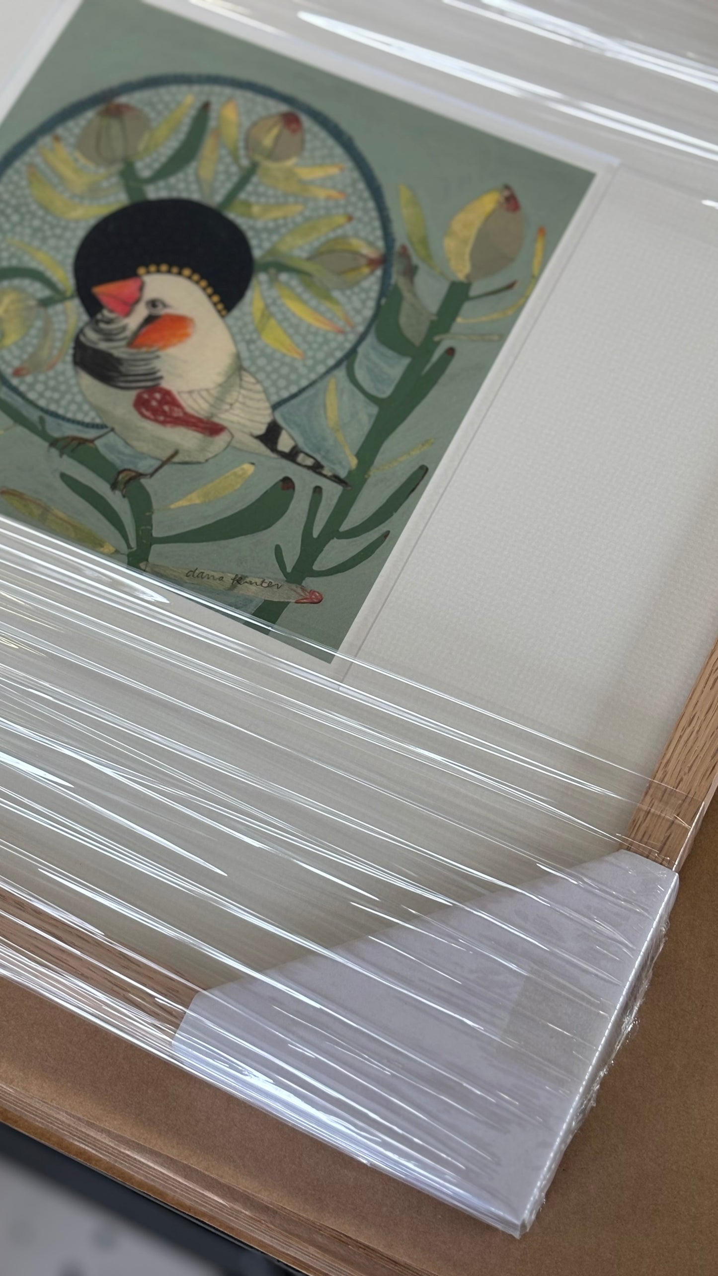 Zebra Finch and Leucadendron - mini print