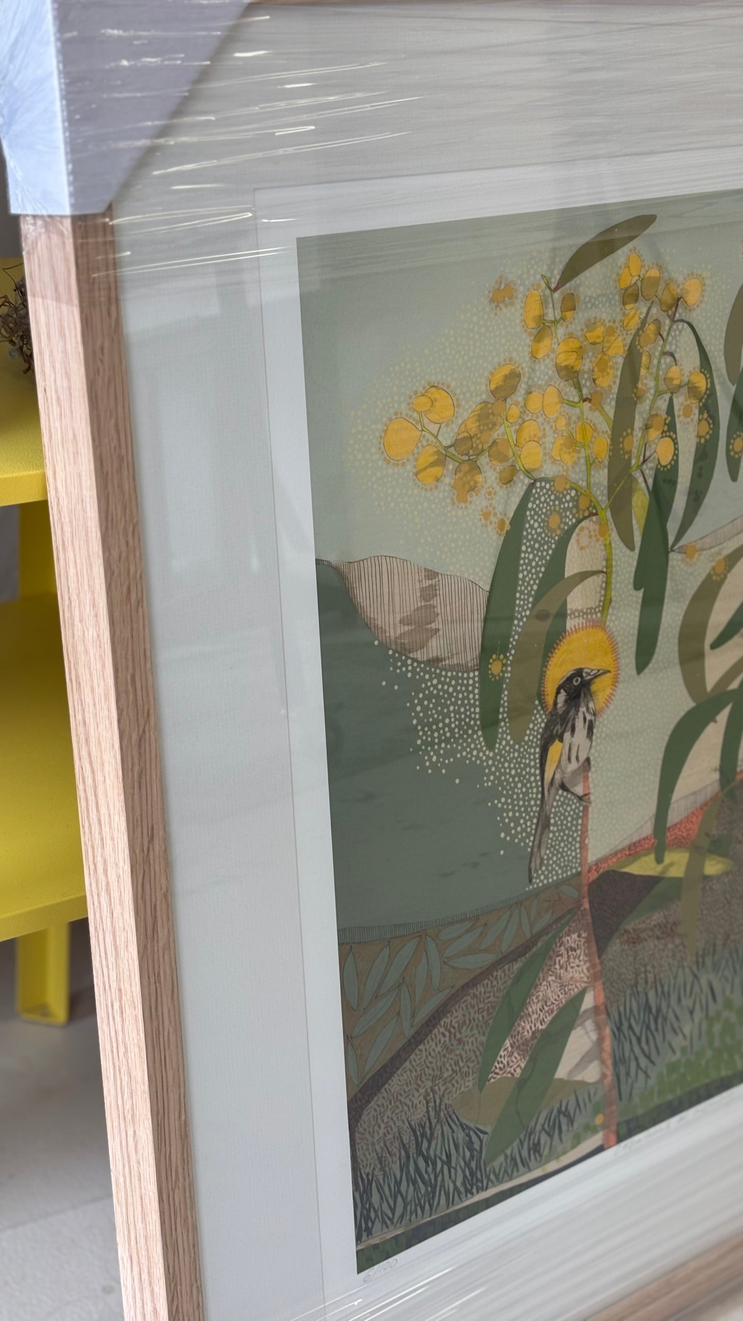 Locations of Memory, New Holland Honeyeater and Wattle - Edition Print
