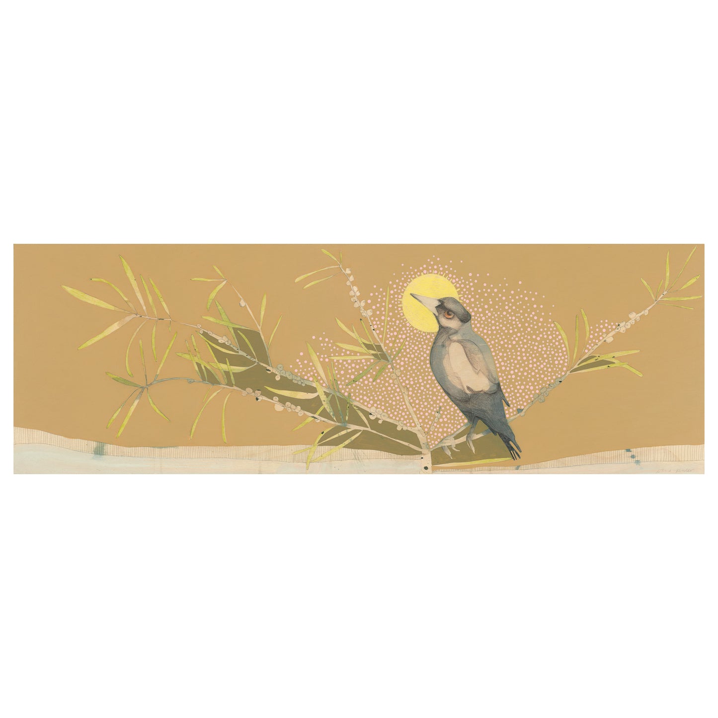 Magpie and Bottlebrush - Edition Print