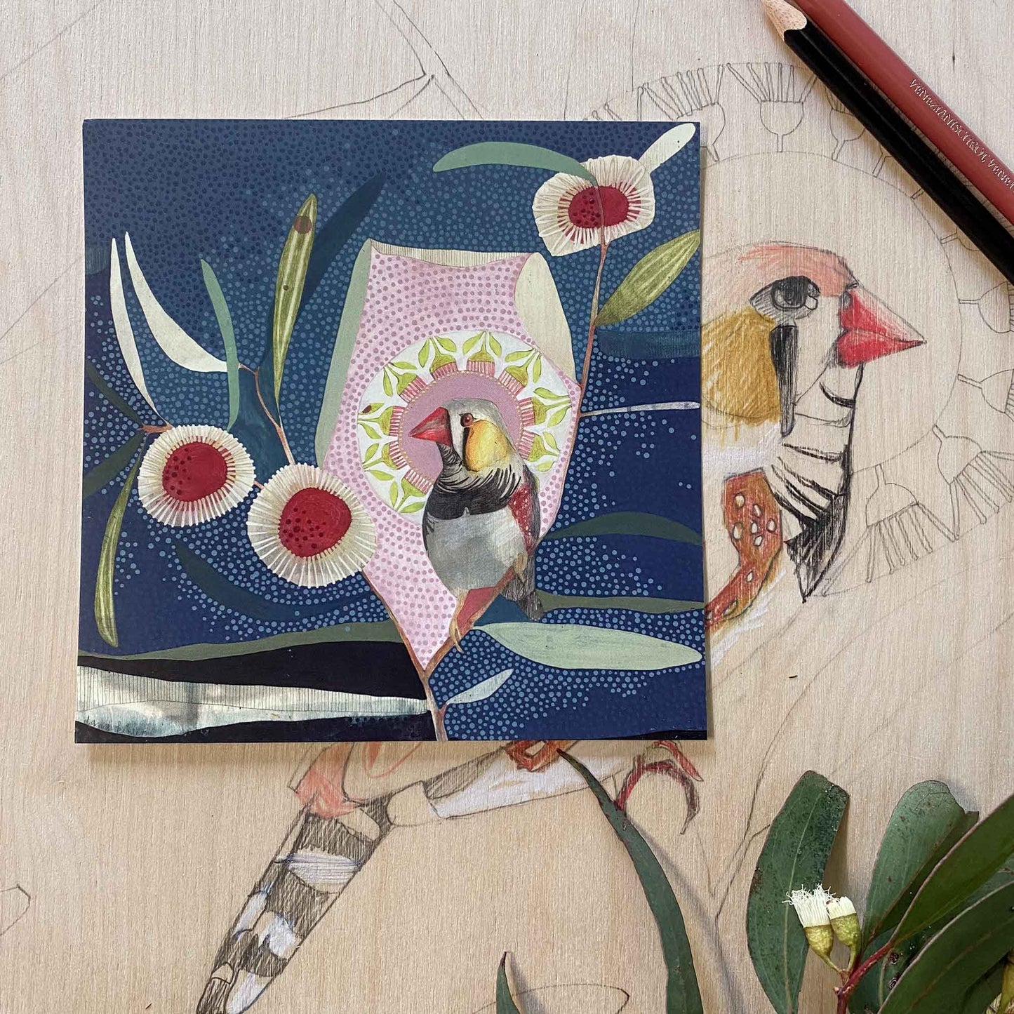the air of tomorrow (i), zebra finch and hakea - card
