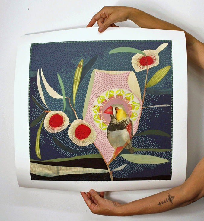 The Air of Tomorrow (i), Zebra Finch and Hakea - Edition Print