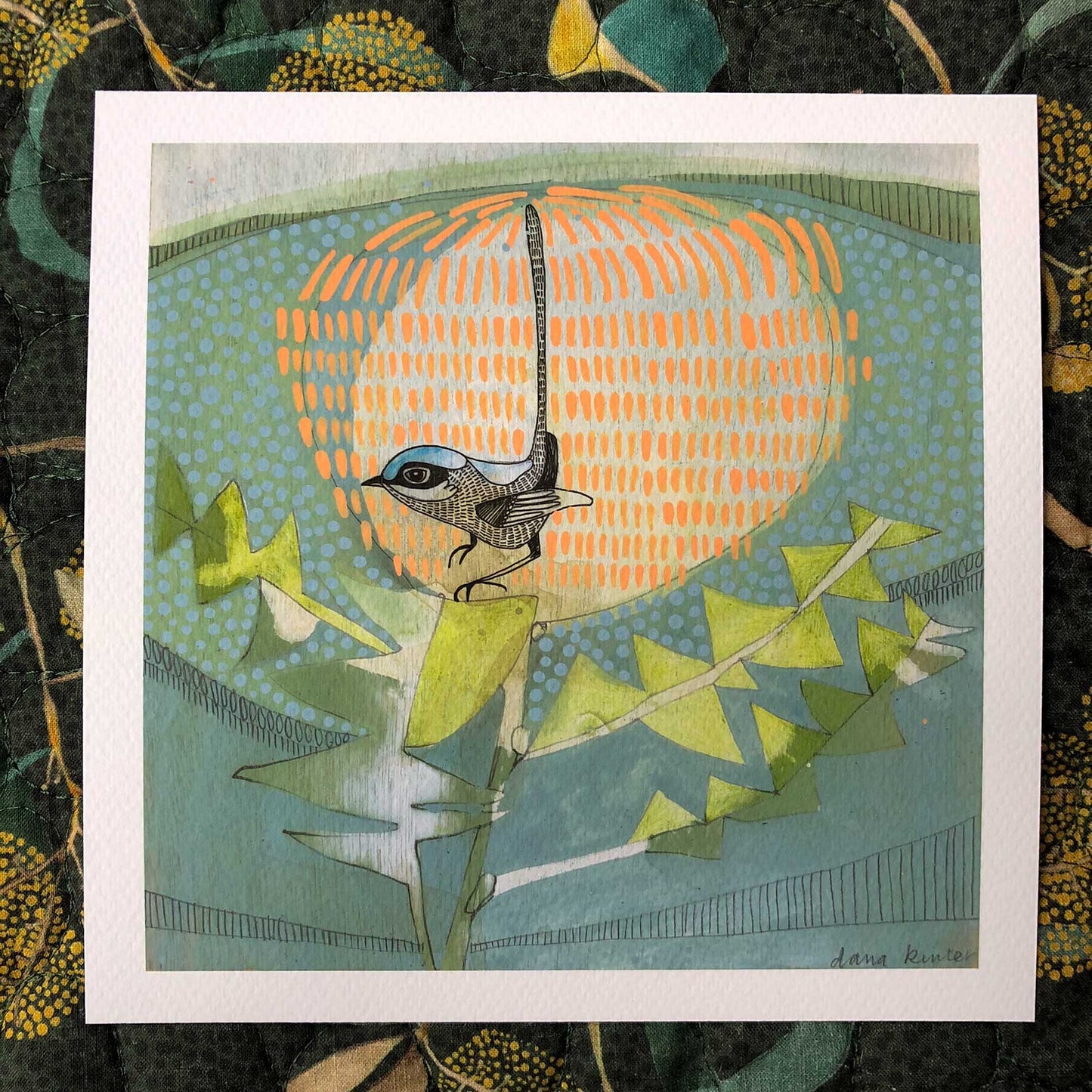 Black Backed Wren and Banksia - mini print