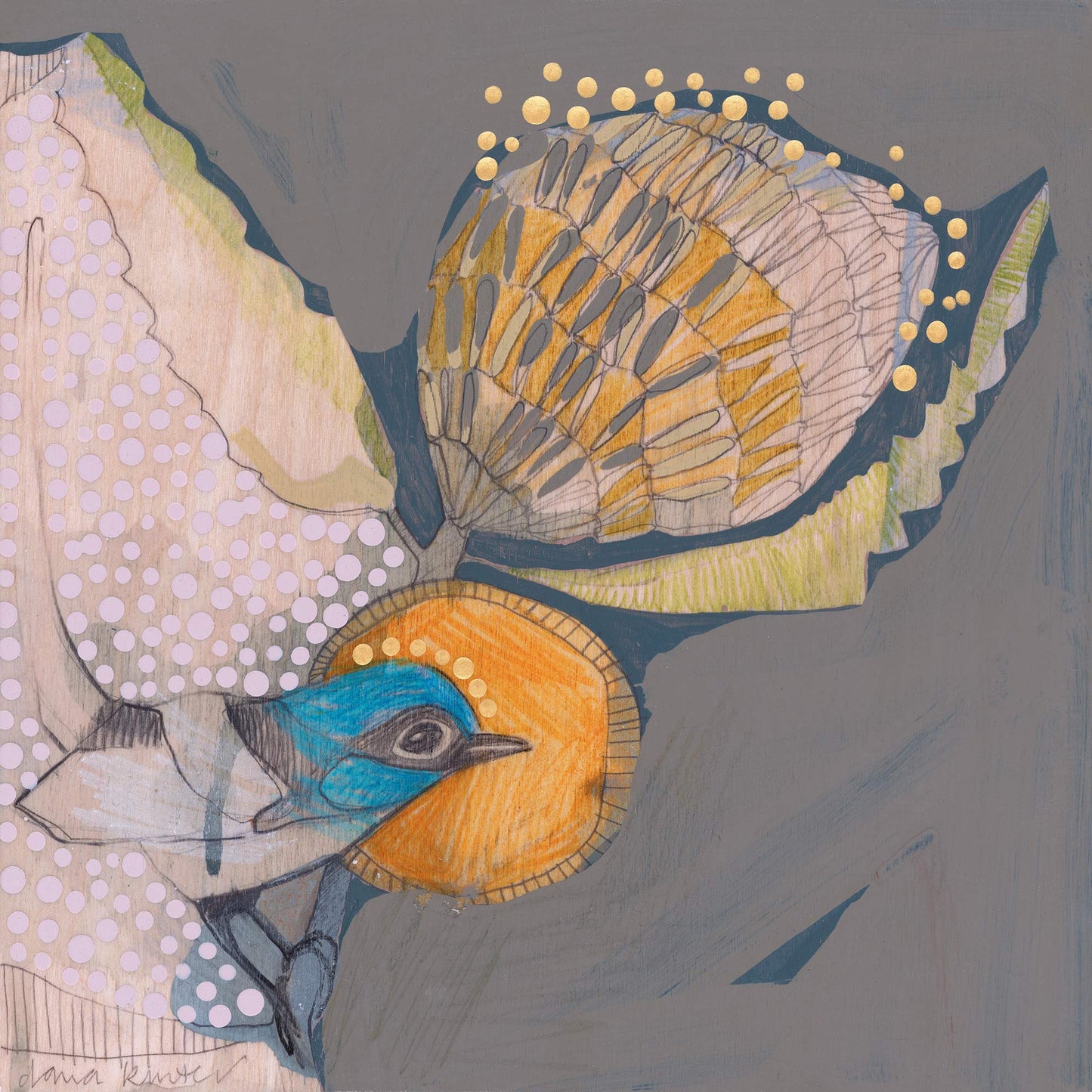 Blue Wren and Banksia - card