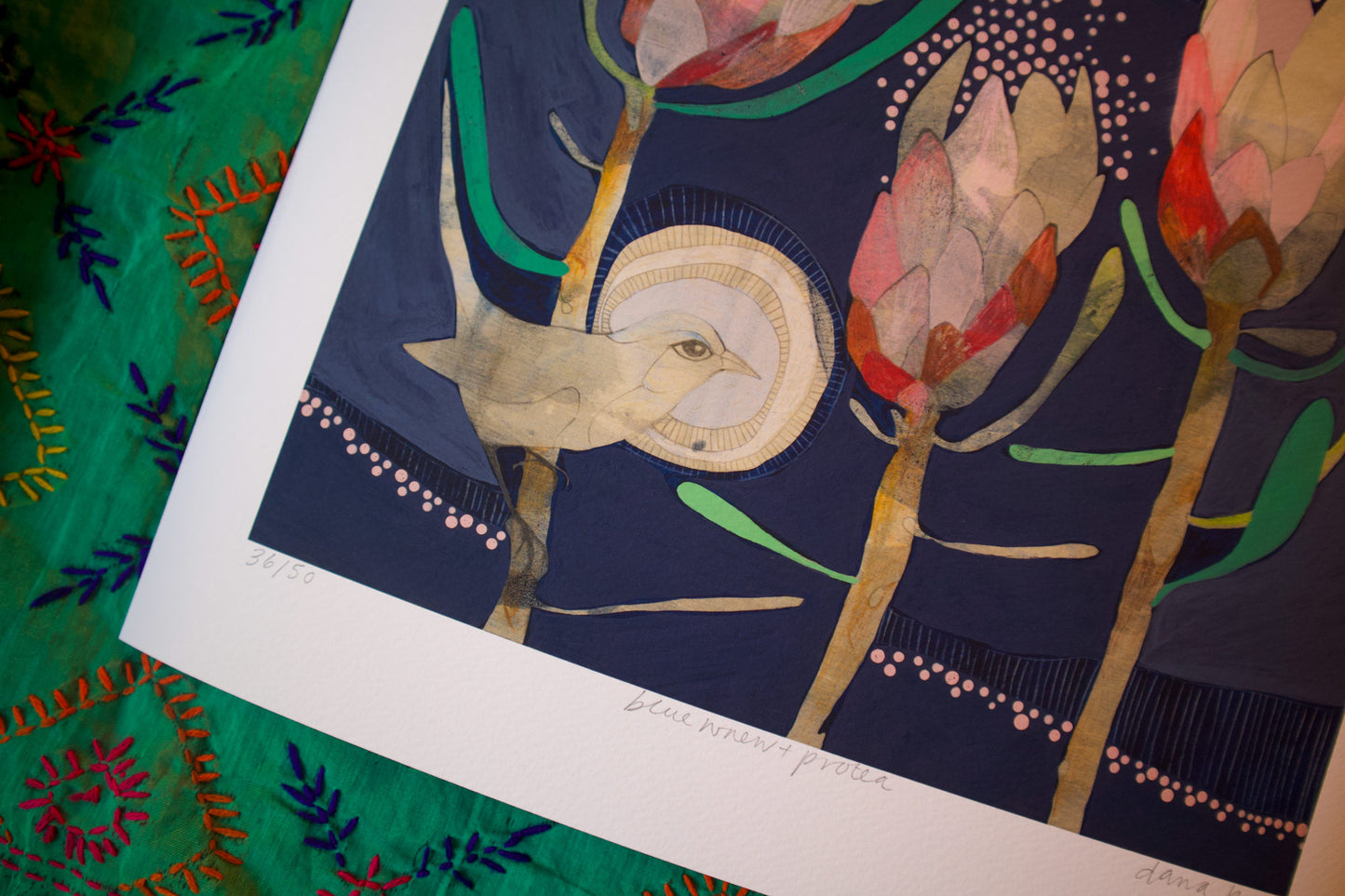 blue wren and protea - edition print