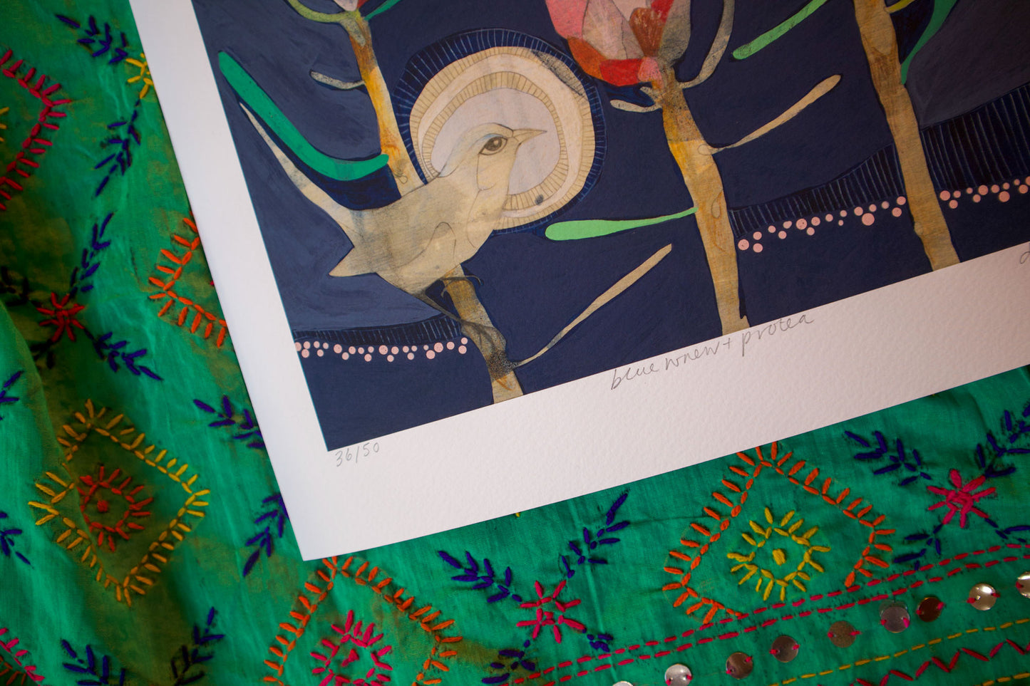 blue wren and protea - edition print