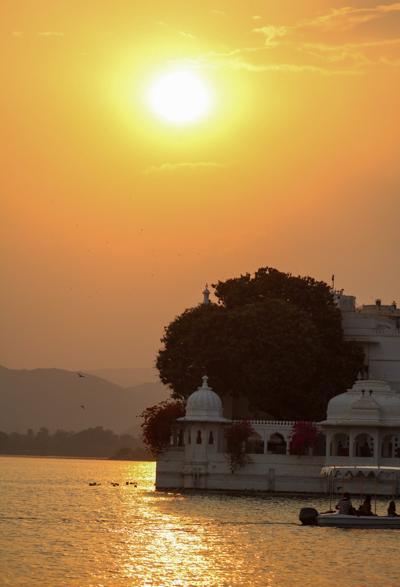 🪷 join me in north INDIA with holi 4-16 march 2025🪷