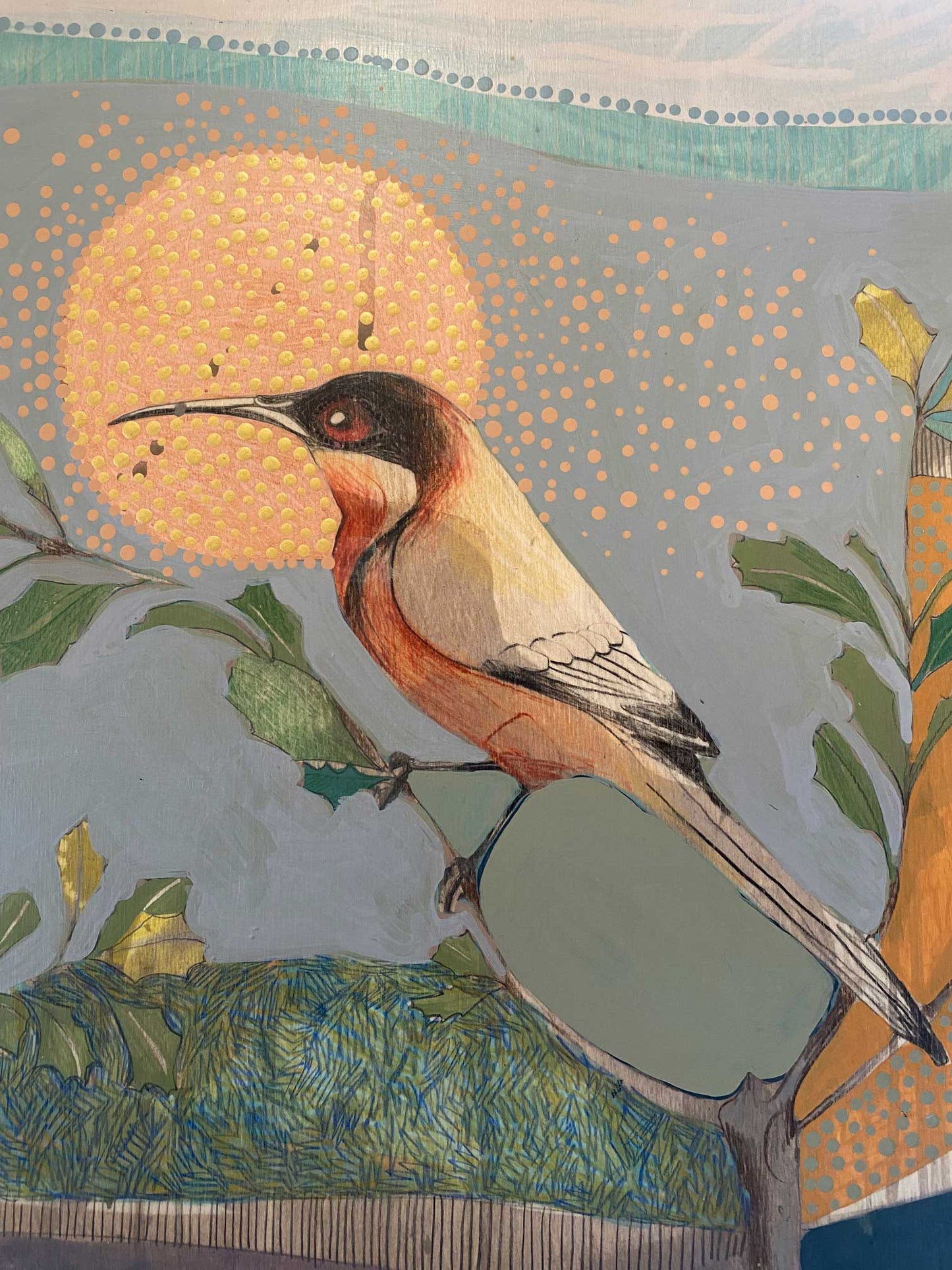 painting | i am calling you, eastern spinebill and banksia