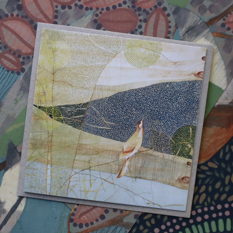 greeting the morning - wattle and wattle bird | card