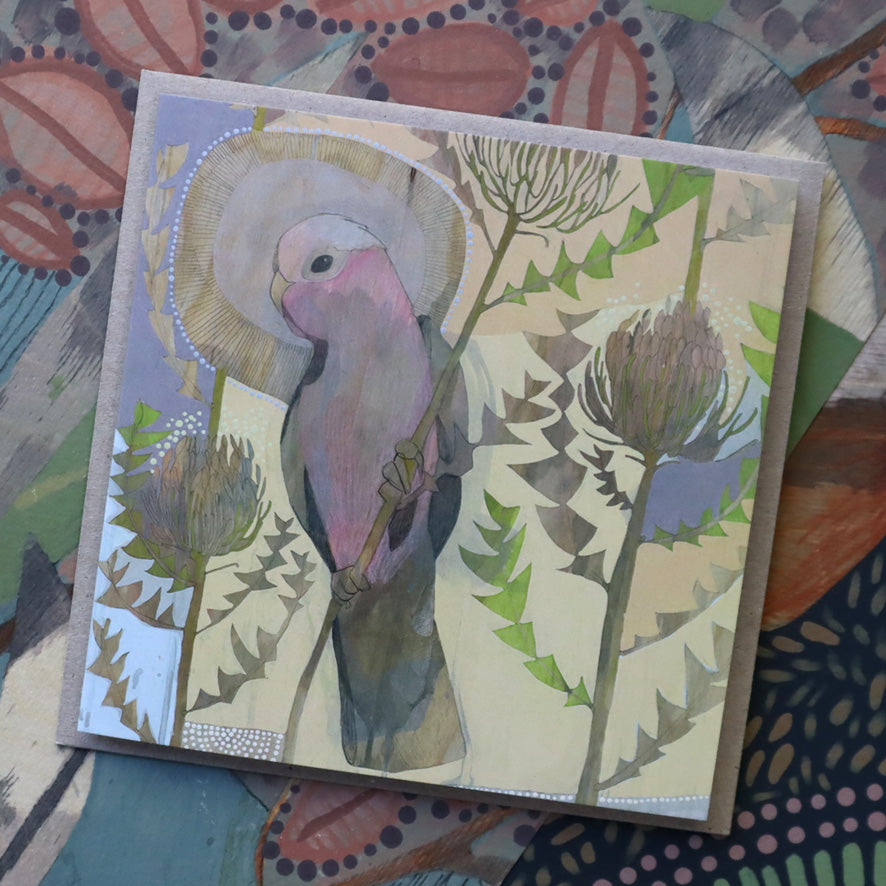 summer | galah and banksia baxteri | card