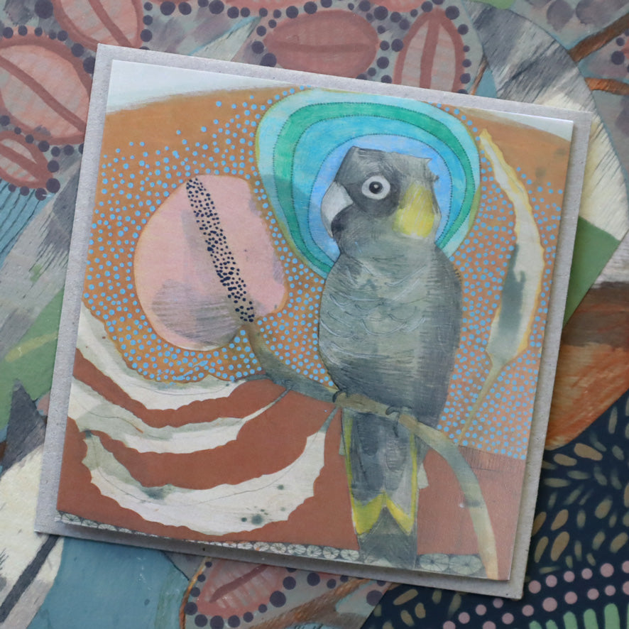 yellow-tailed black cockatoo and banksia | card