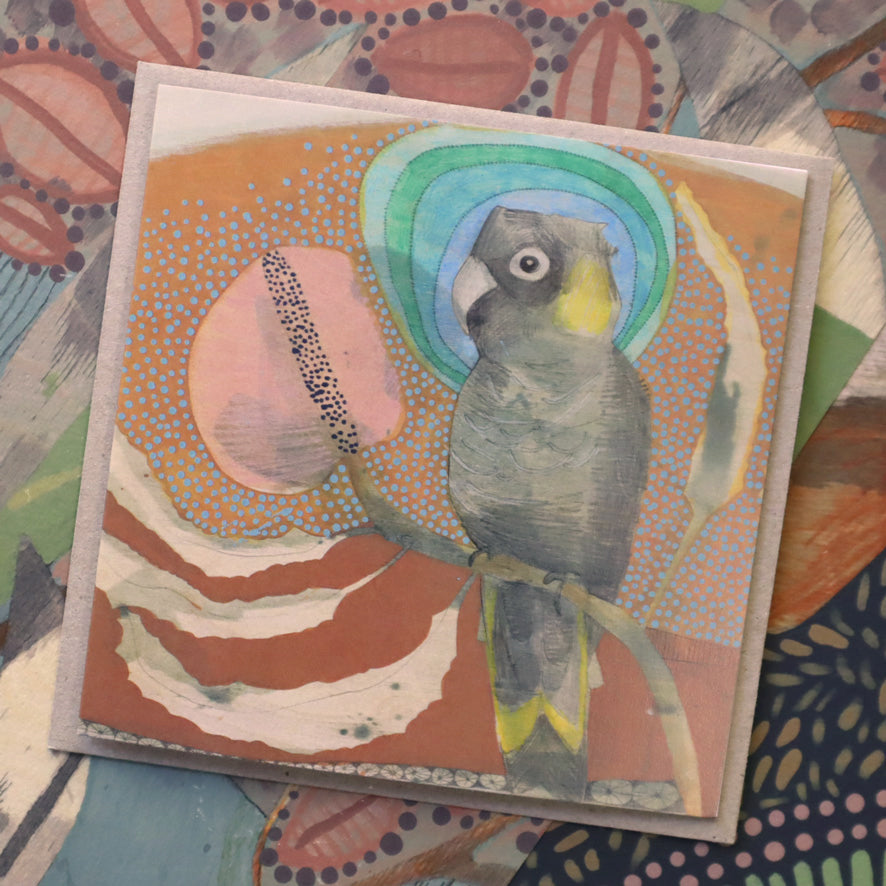 yellow-tailed black cockatoo and banksia - card