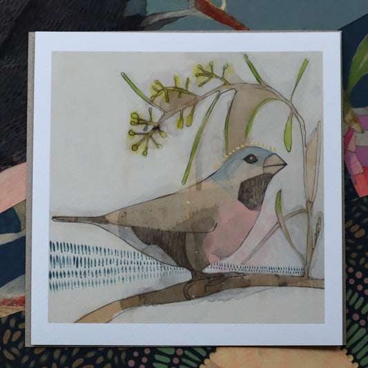 black-throated finch and acacia - mini print