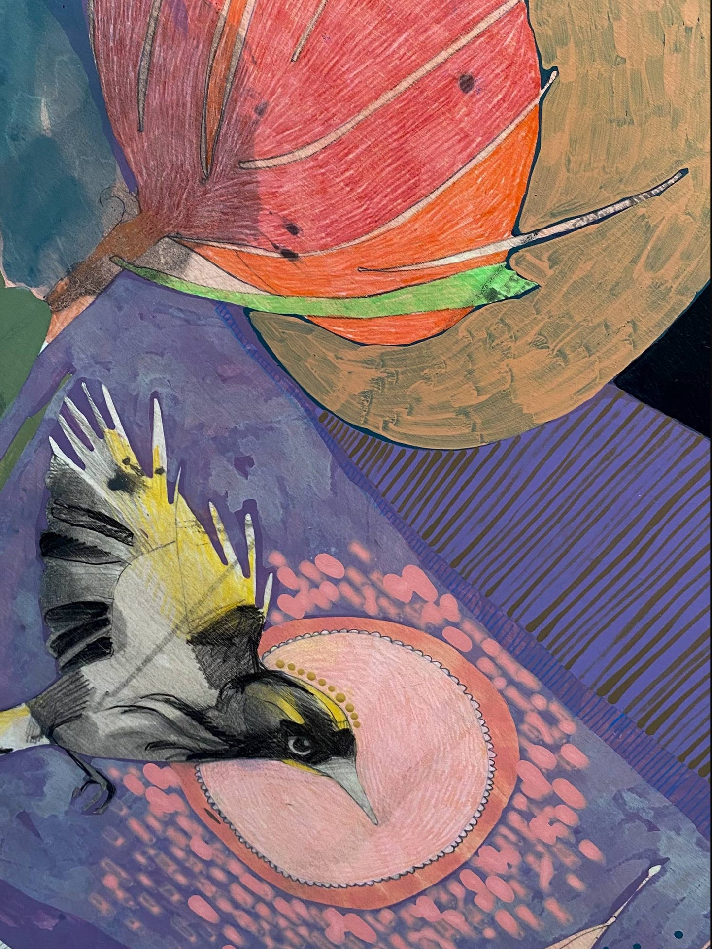 The Fluttering of Birds, New Holland Honeyeater and Pincushion - Edition Print