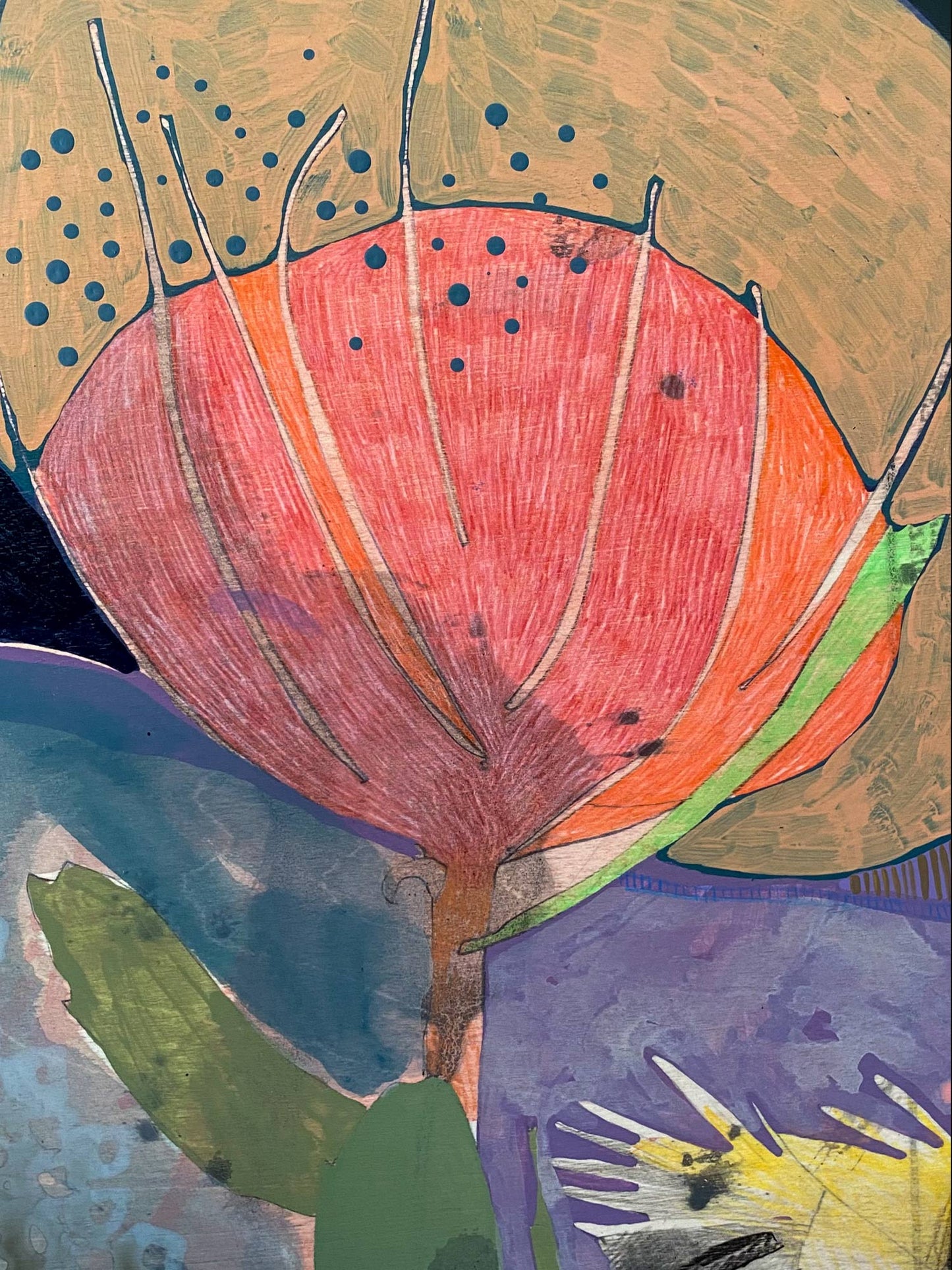 The Fluttering of Birds, New Holland Honeyeater and Pincushion - Edition Print