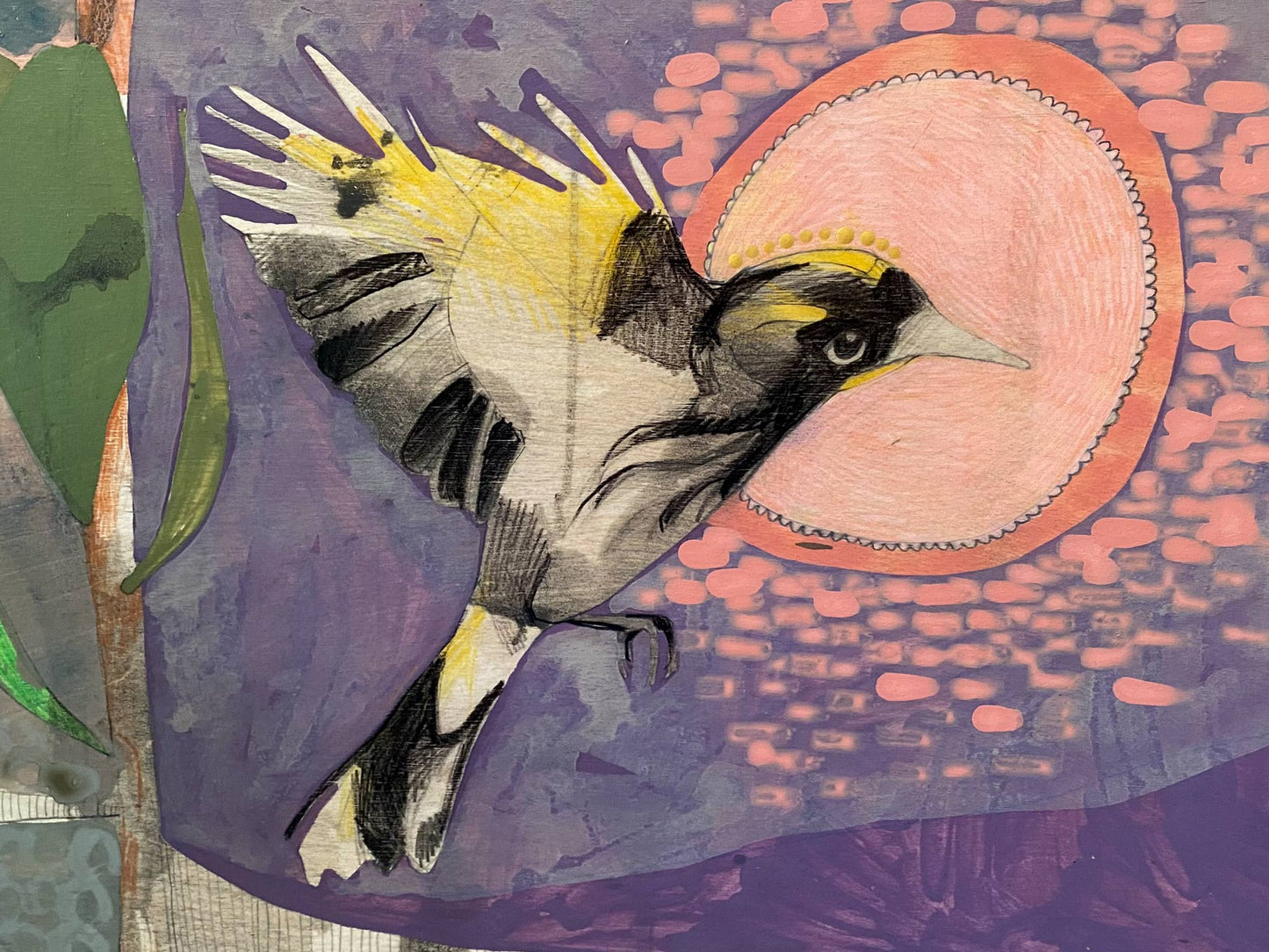 The Fluttering of Birds, New Holland Honeyeater and Pincushion - Edition Print