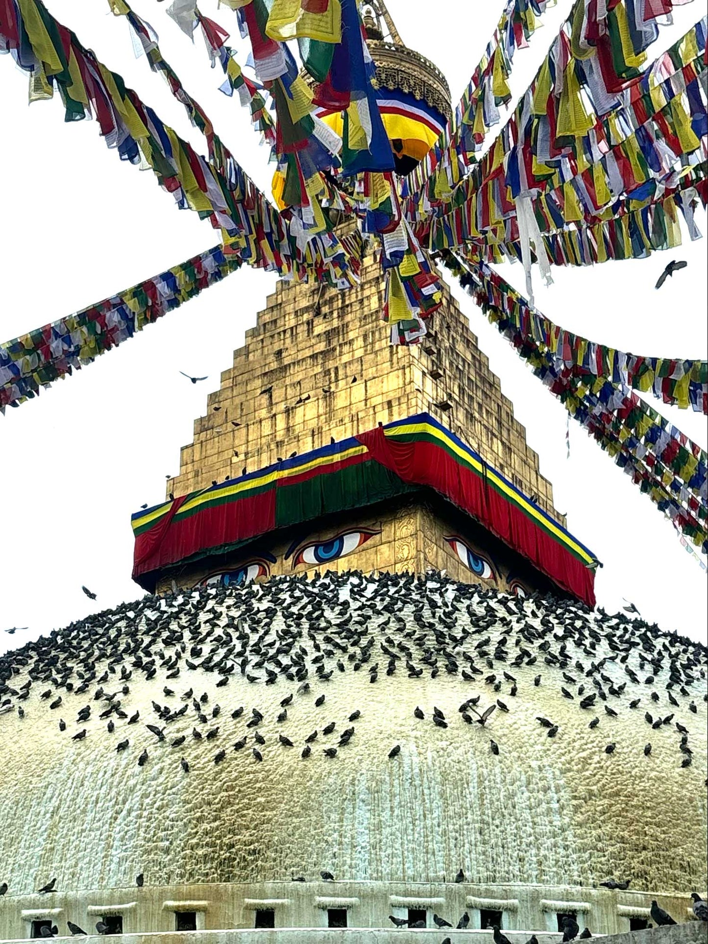 NEW!! 🪷 India to Nepal Adventure - Art & Culture tour 🪷 March 2026 Halfway Booked x