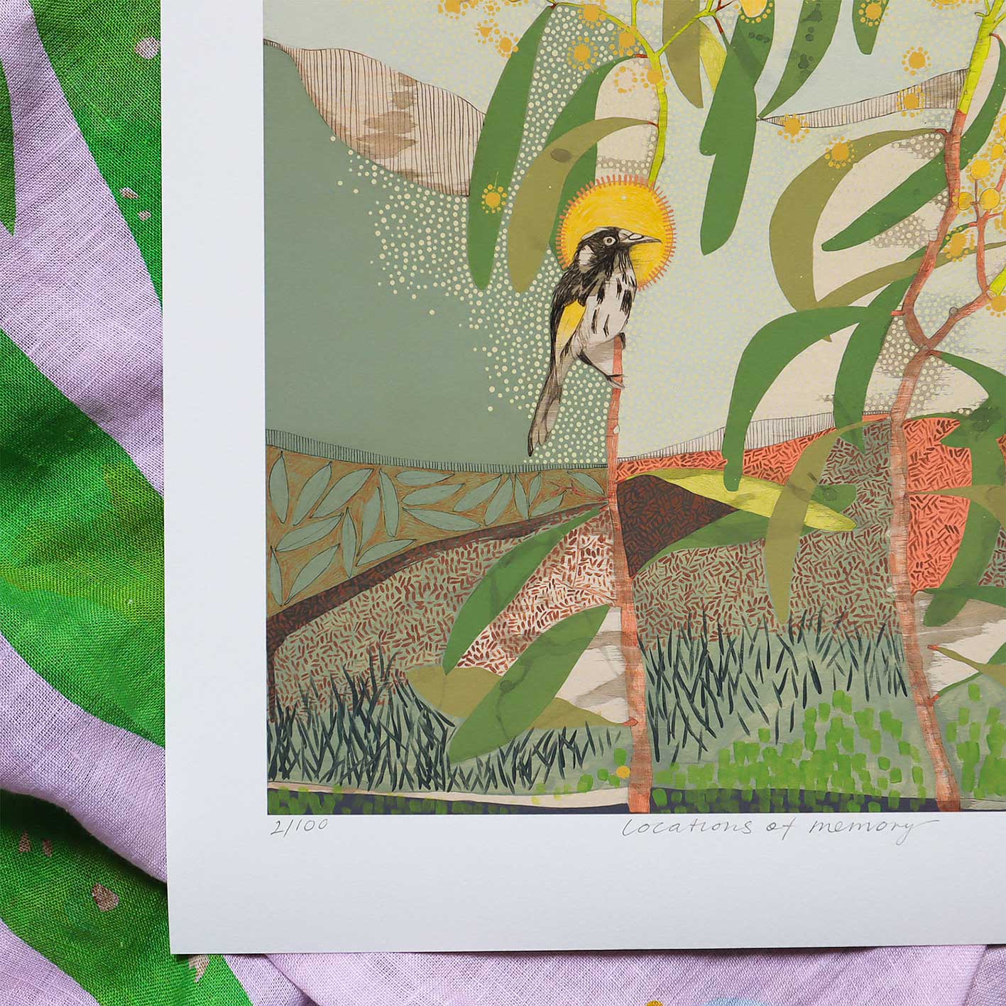 Locations of Memory, New Holland Honeyeater and Wattle - Edition Print