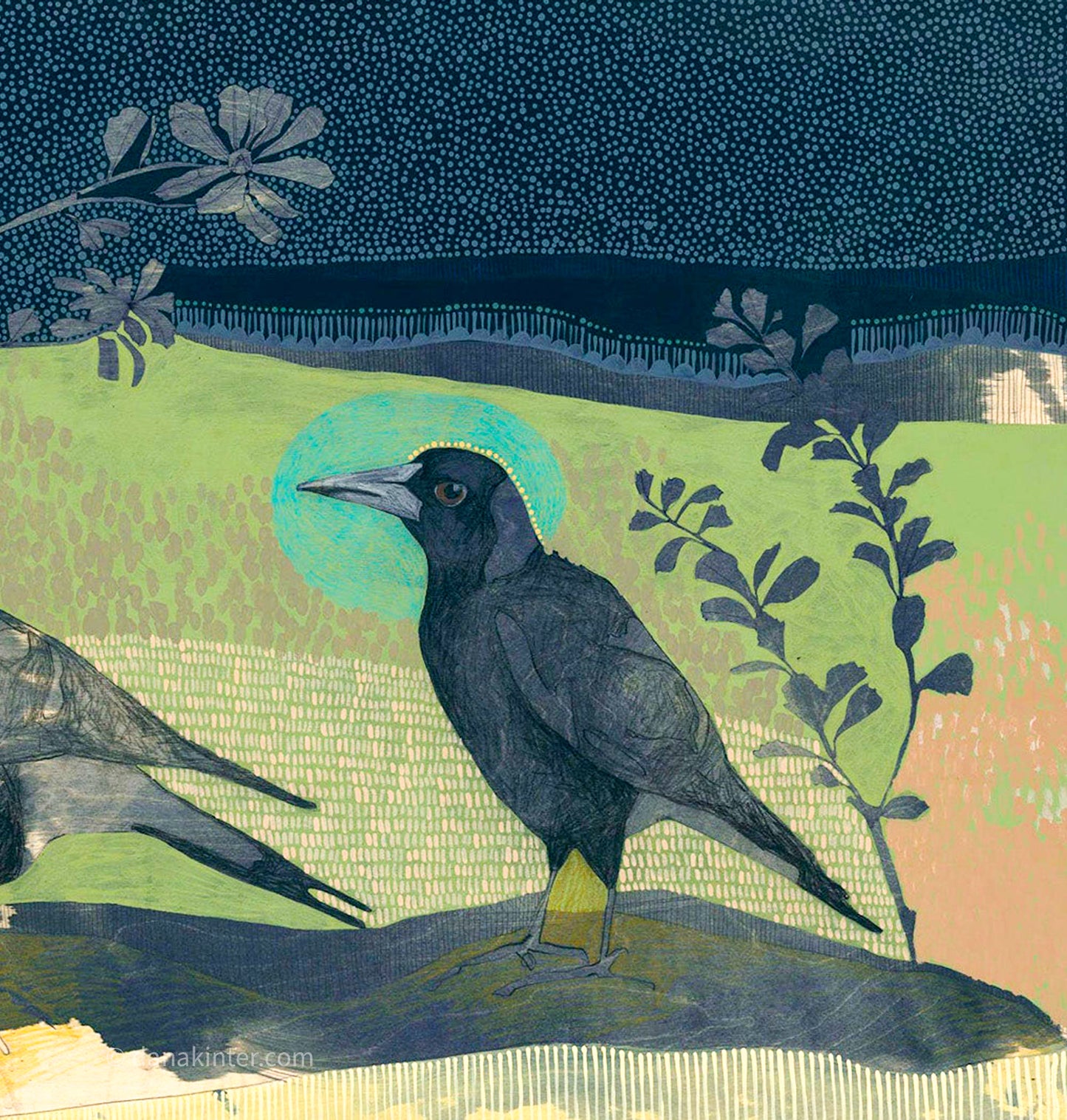 by your side, magpie and coastal banksia - edition print