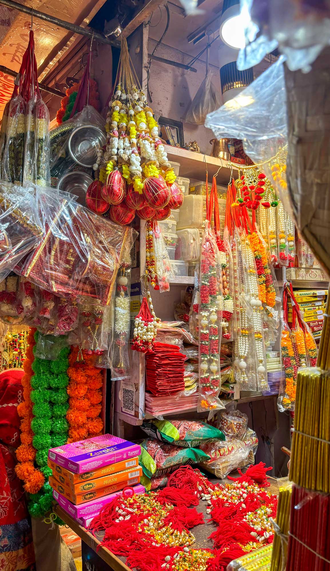 🪷Feb 2026 join me in North INDIA art/culture with Holi🪷