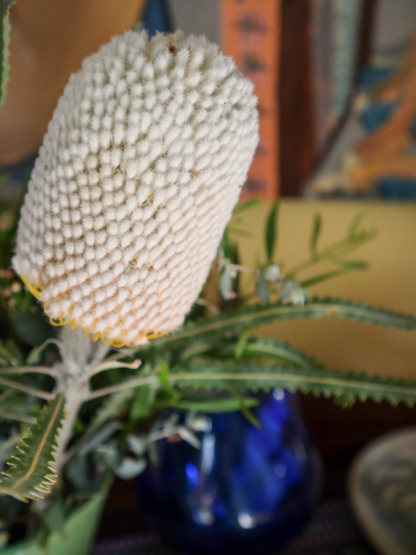 The Heart of Happiness - Striated Pardalote and Banksia Burdettii Painting