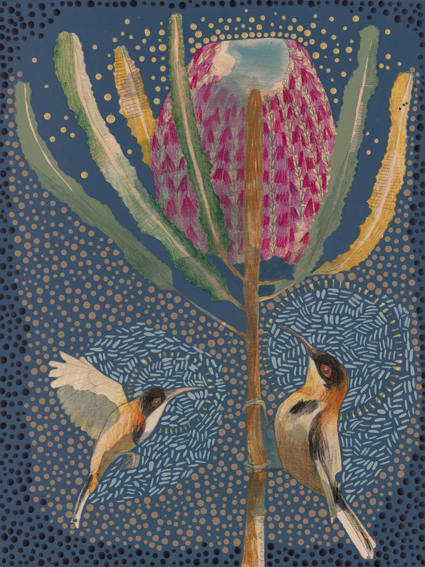 Eastern Spinebill and Banksia Menziesii - Mini Print