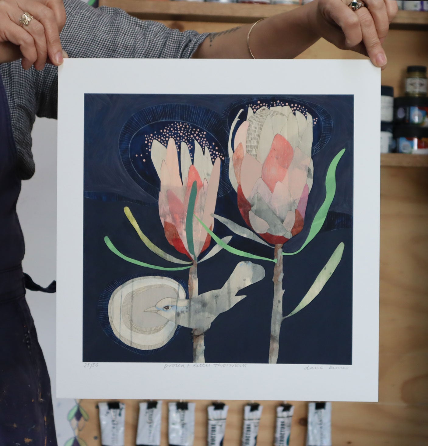 little thornbill and protea - edition print