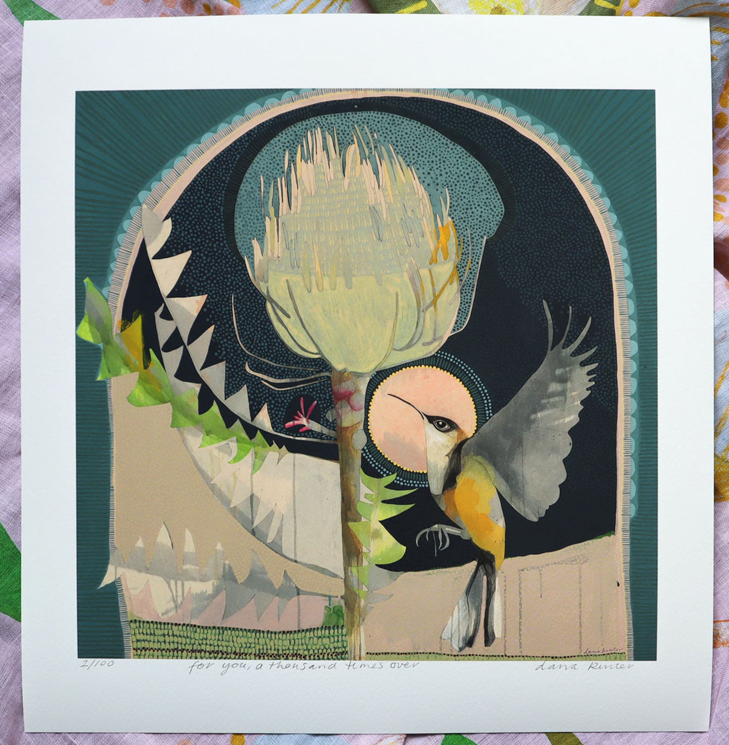 for you a thousand times over, eastern spinebill and banksia - edition print