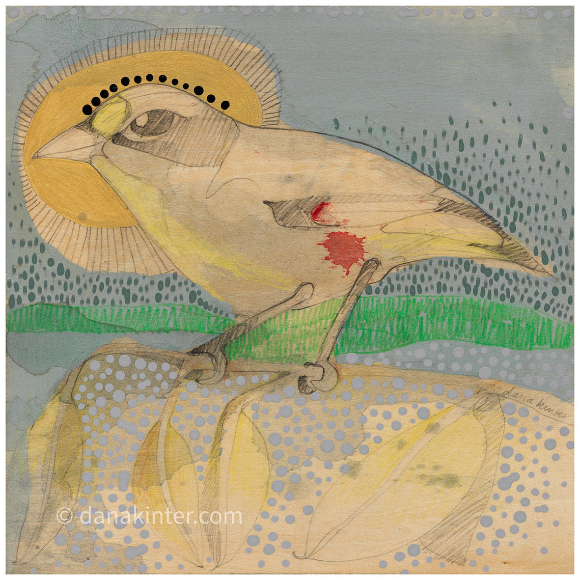 Striated Paralote with Golden Halo - Painting