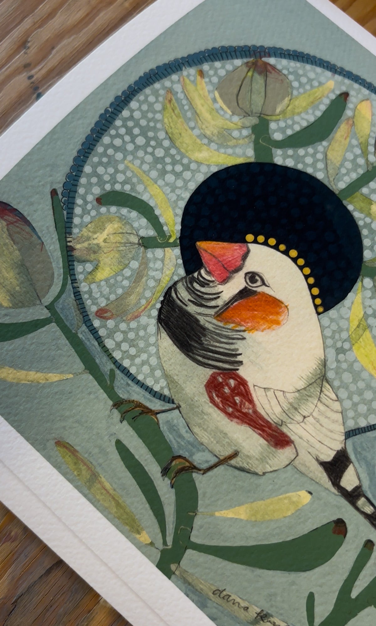 Zebra Finch and Leucadendron - mini print