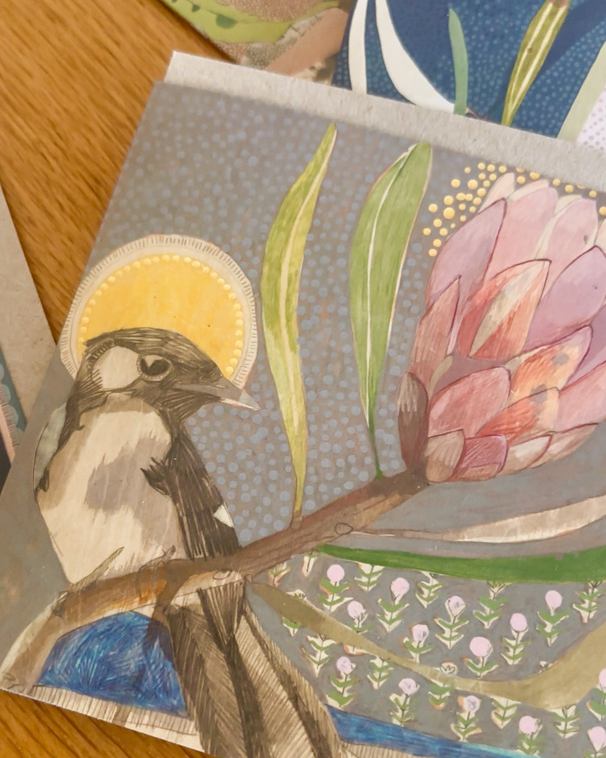 willie wagtail and protea - card