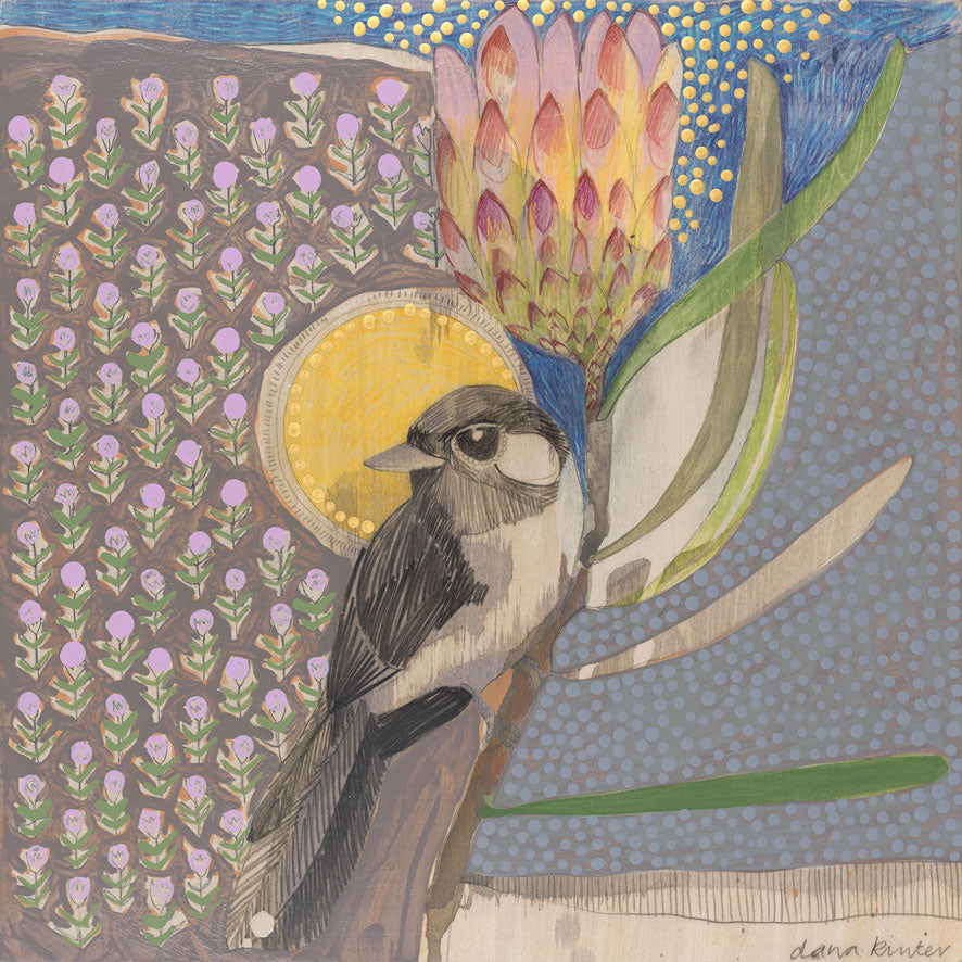 mini | willie wagtail and protea | print