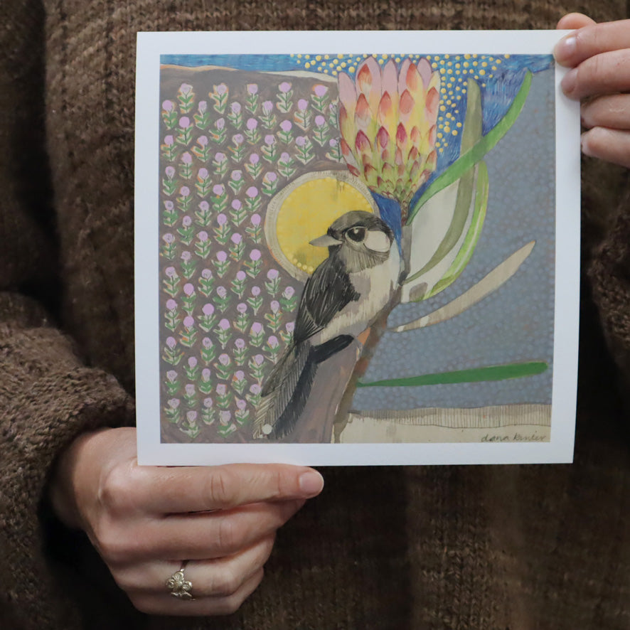 mini | willie wagtail and protea | print
