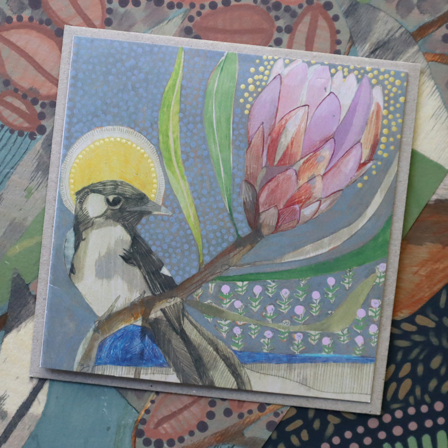 willie wagtail and protea | card